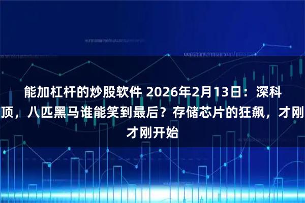能加杠杆的炒股软件 2026年2月13日：深科技登顶，八匹黑马谁能笑到最后？存储芯片的狂飙，才刚开始
